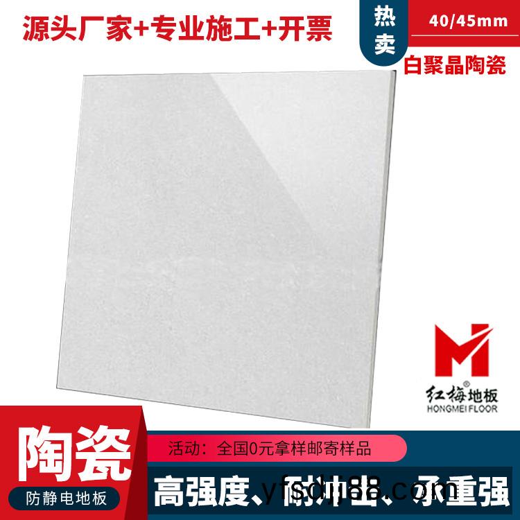 白(bai)聚晶(jing)陶瓷防靜(jing)電地闆.jpg